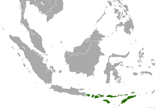 File:Nusatenggara Short-nosed Fruit Bat area.png