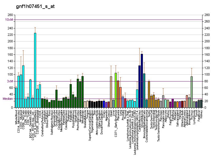 File:PBB GE ACTR1A gnf1h07451 s at fs.png