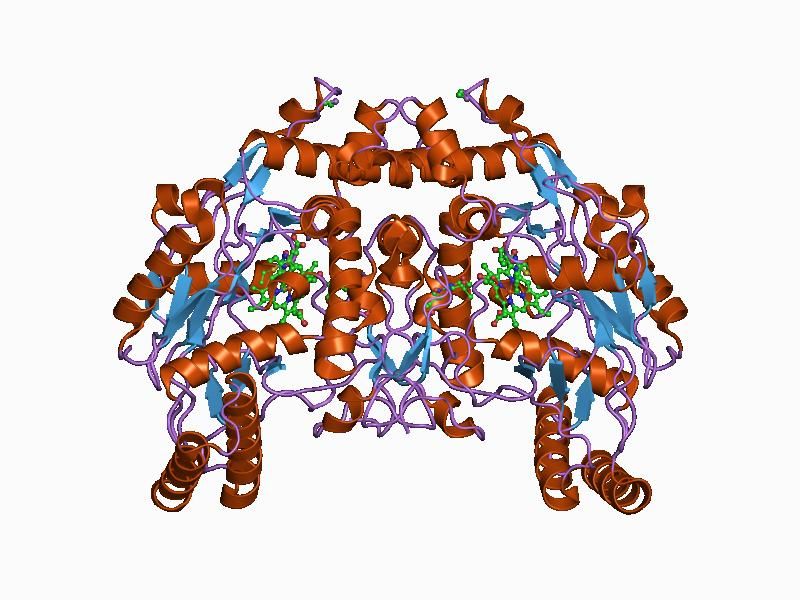 File:PDB 1d1v EBI.jpg