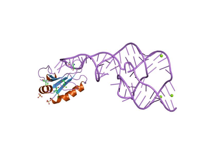 File:PDB 1drz EBI.jpg