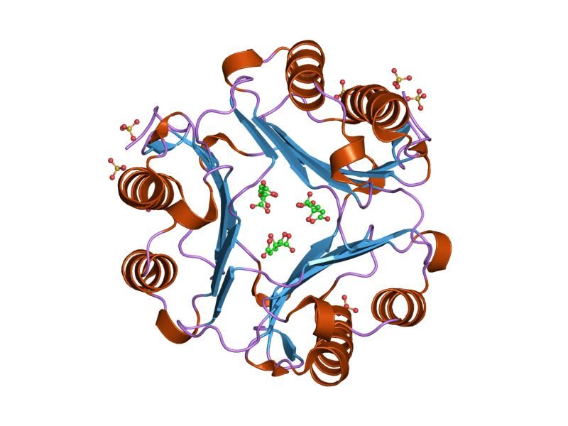 File:PDB 1gd0 EBI.jpg