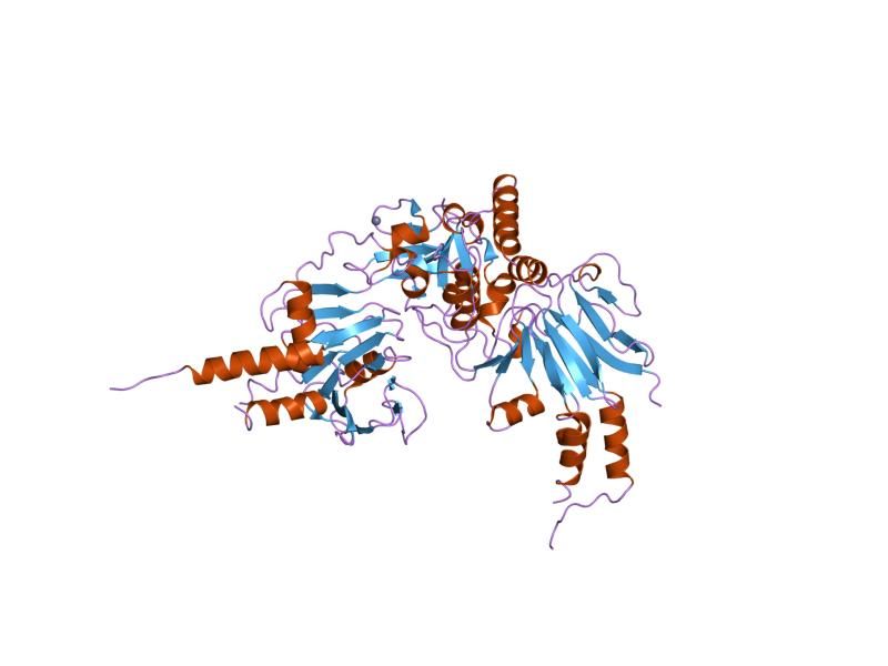 File:PDB 1mr1 EBI.jpg