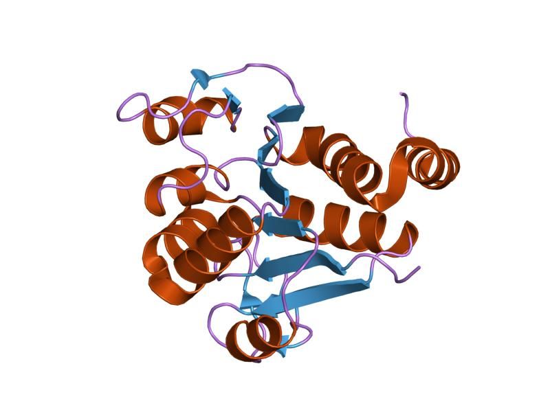 File:PDB 1q2u EBI.jpg