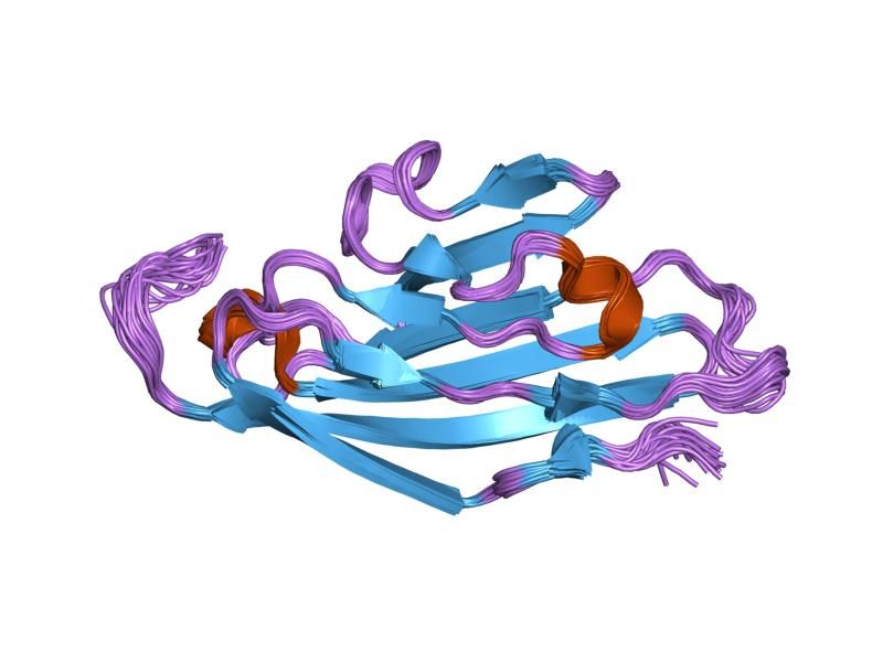 File:PDB 1rsf EBI.jpg