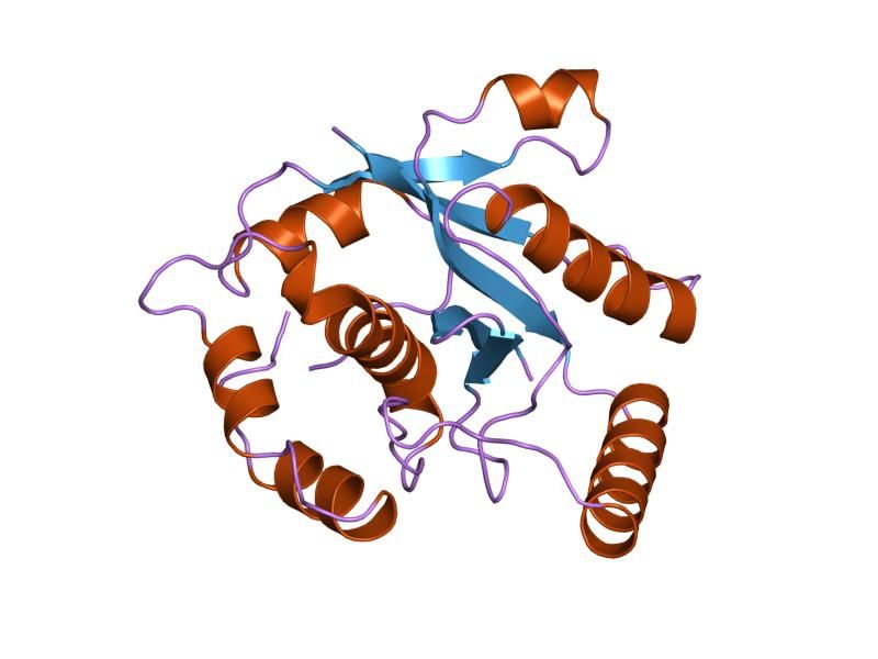 File:PDB 1uch EBI.jpg