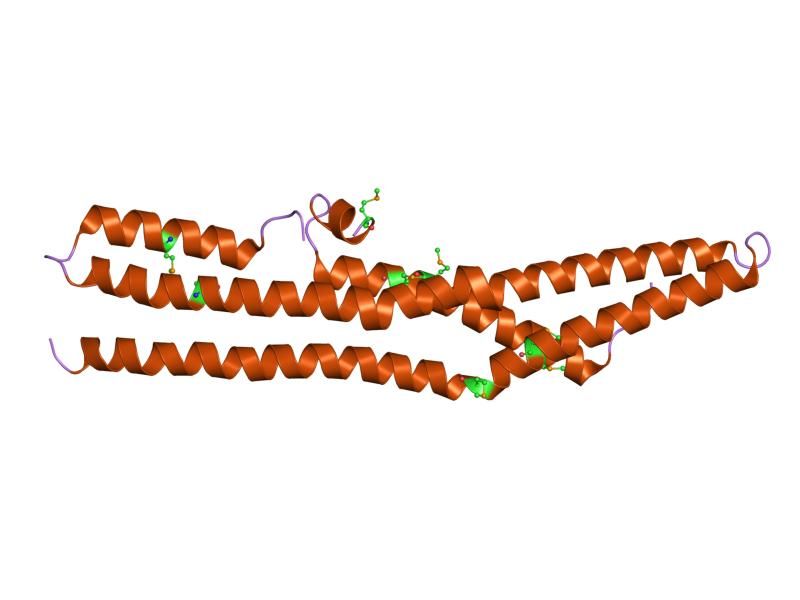 File:PDB 1x03 EBI.jpg