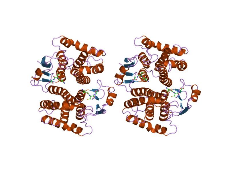 File:PDB 1xw6 EBI.jpg