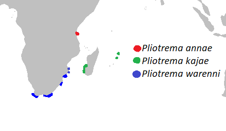 File:Pliotrema distmap.png