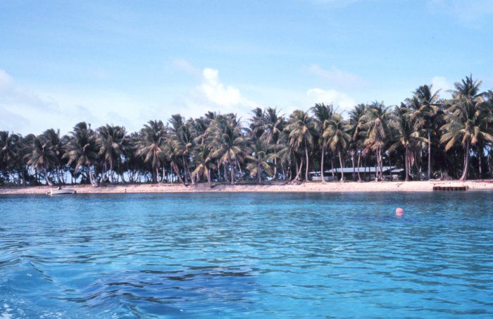 File:Shoreline majuro.jpg