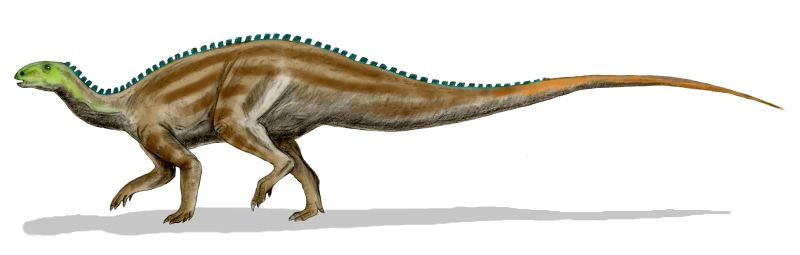 File:Tenontosaurus BW transparent.png