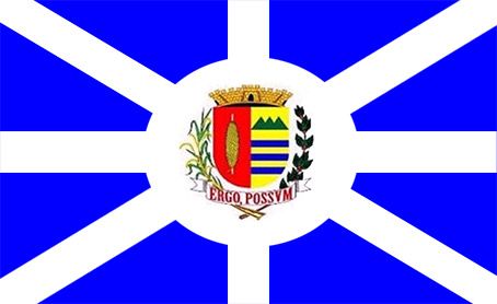 File:Bandeira vgsul.jpg