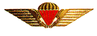 File:Danish Freefall Parachutist Badge.png