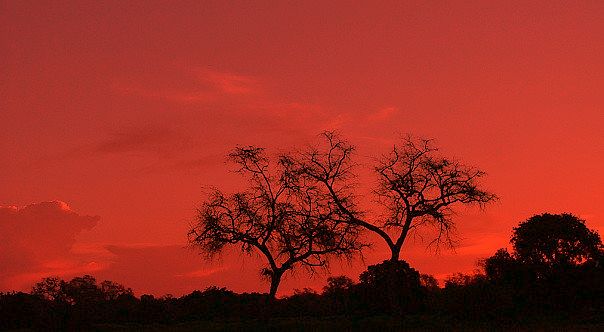 File:Dusk Manyuchi.jpg