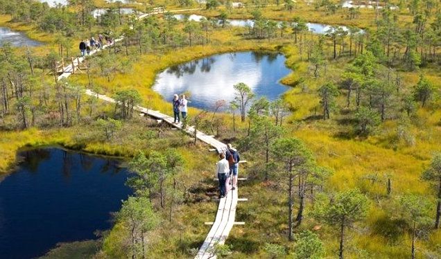 File:Kemeri Bog.jpg