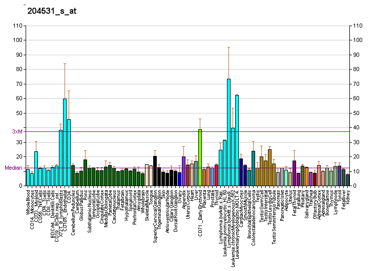 File:PBB GE BRCA1 204531 s at fs.png