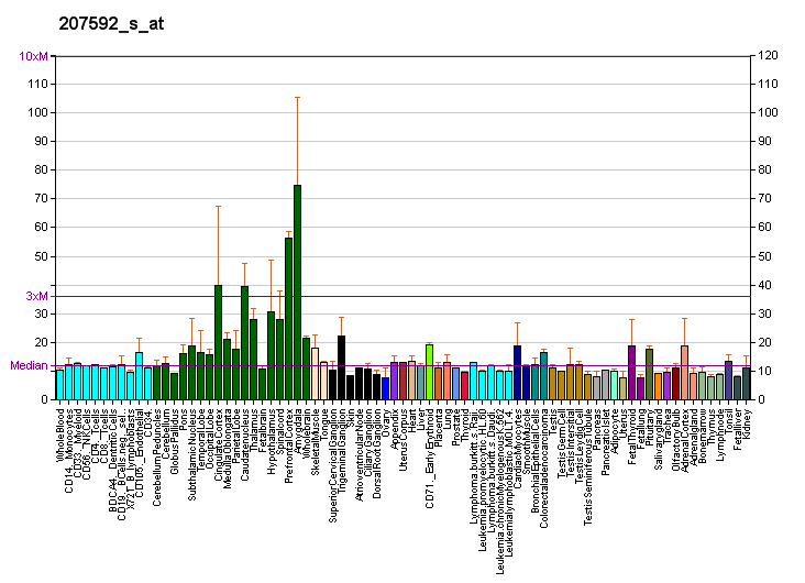 File:PBB GE HCN2 207592 s at fs.png