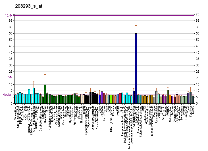 File:PBB GE LMAN1 203293 s at fs.png