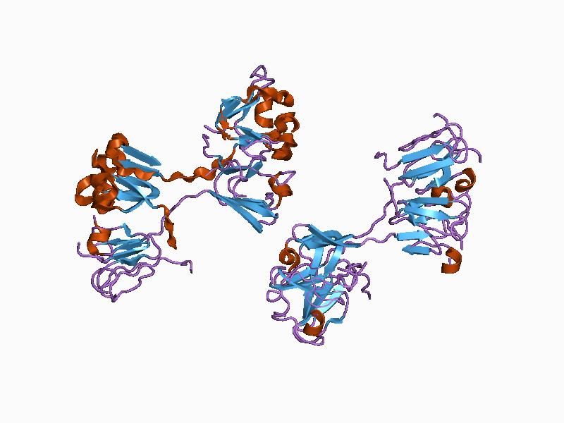 File:PDB 1blb EBI.jpg