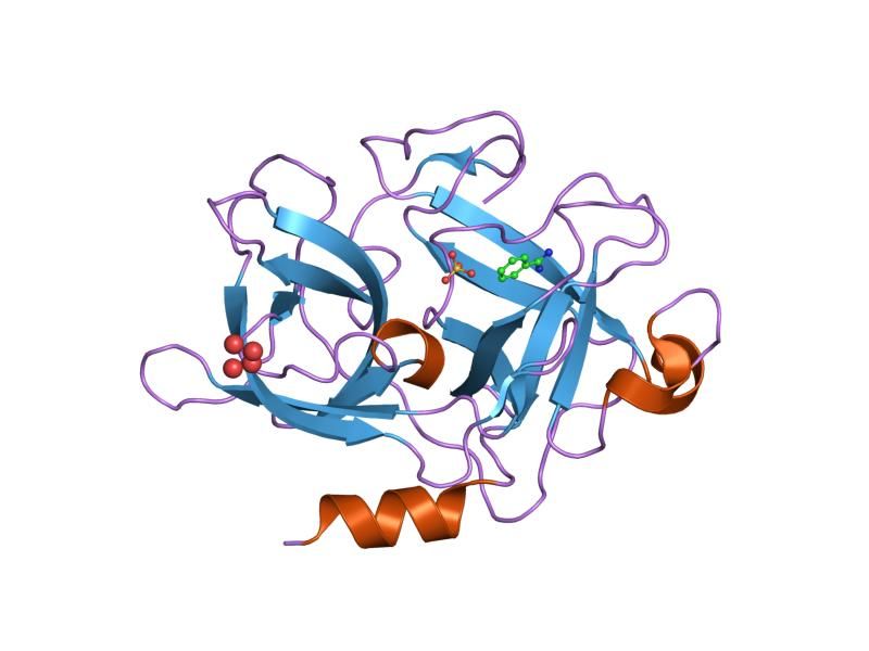 File:PDB 1f5k EBI.jpg