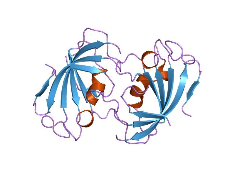 File:PDB 1n1a EBI.jpg