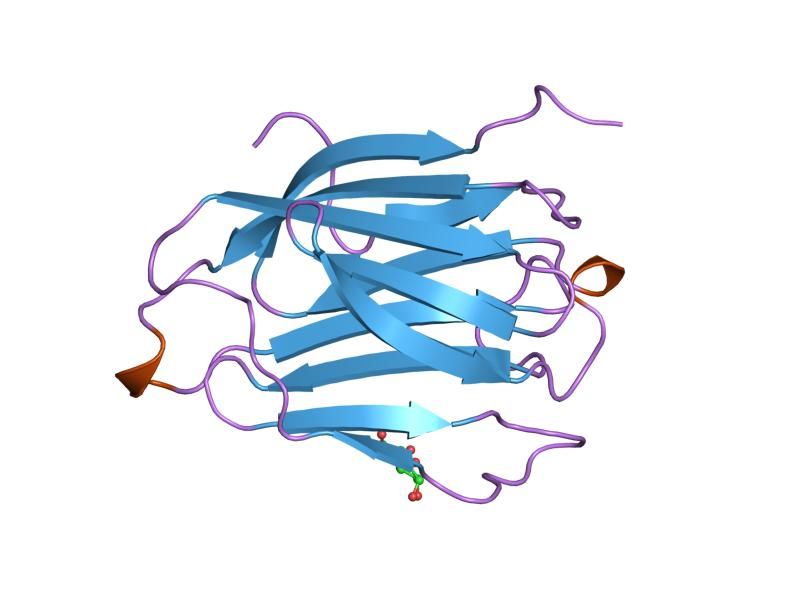 File:PDB 1qkq EBI.jpg