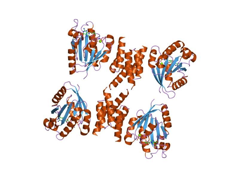 File:PDB 1r4a EBI.jpg