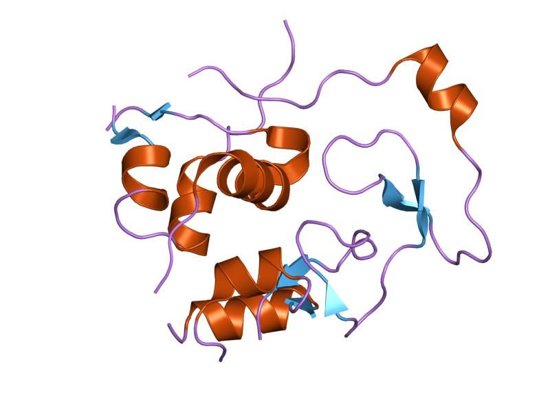 File:PDB 2dsp EBI.jpg