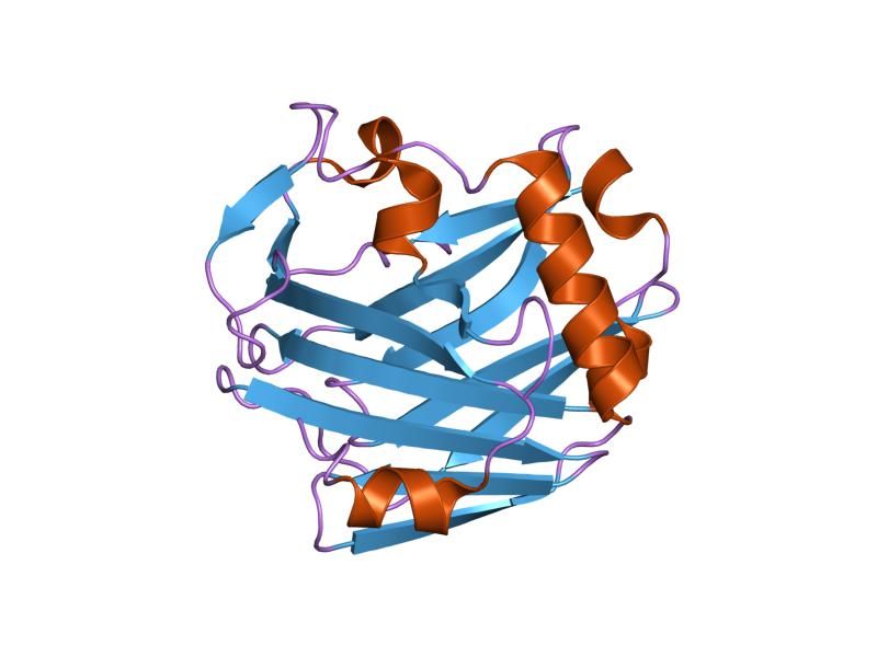 File:PDB 2erf EBI.jpg