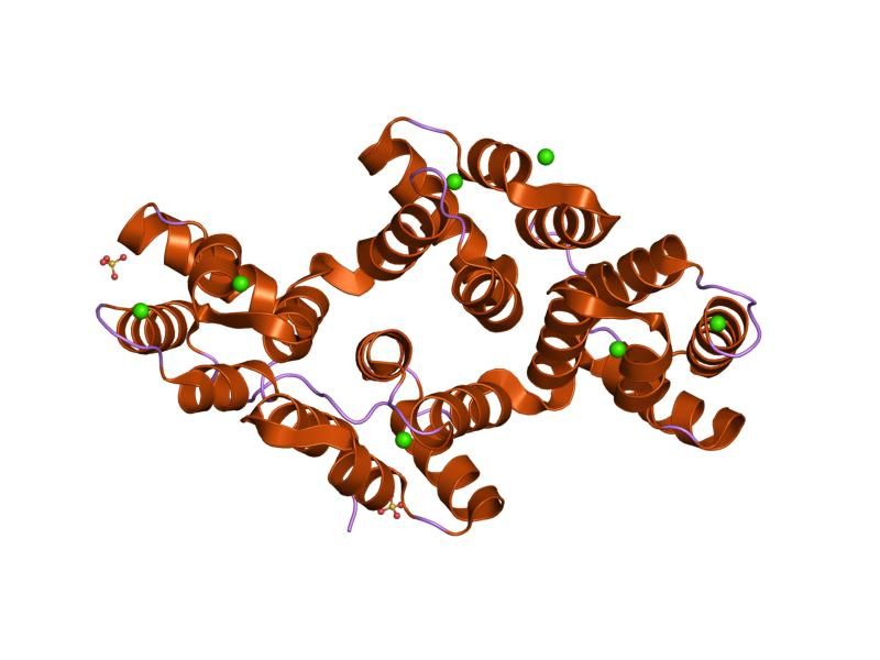 File:PDB 2ran EBI.jpg