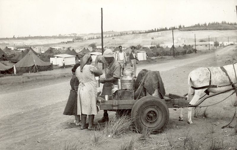 File:PikiWiki Israel 9259 divided milk.jpg