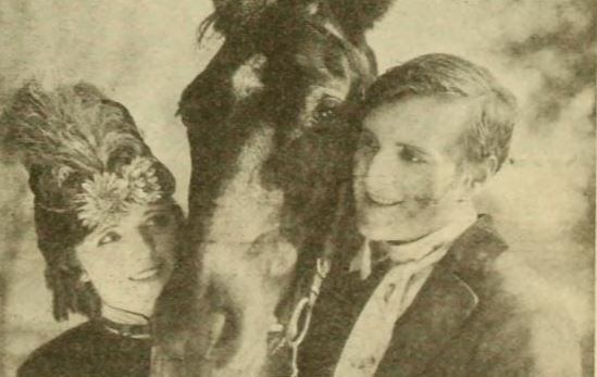 File:Black Beauty (1921).jpg