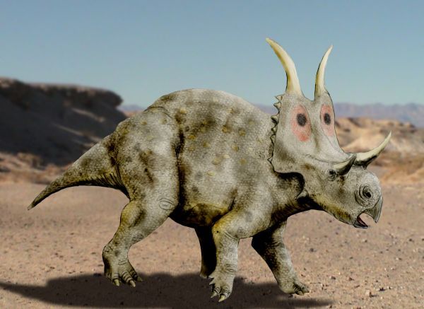 File:Diabloceratops NT.jpg