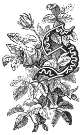 File:Laste sõber, 3 jagu; initial; wood engraving.png