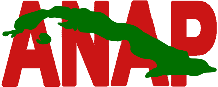 File:Logo de ANAP.png