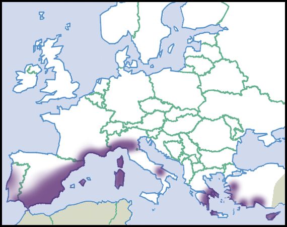 File:Microxeromagna-lowei-map-eur-nm-moll.jpg