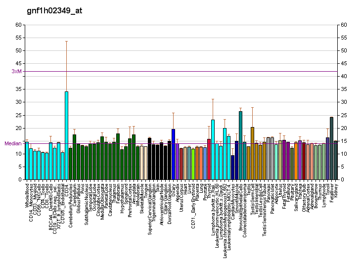 File:PBB GE MIB1 gnf1h02349 at fs.png