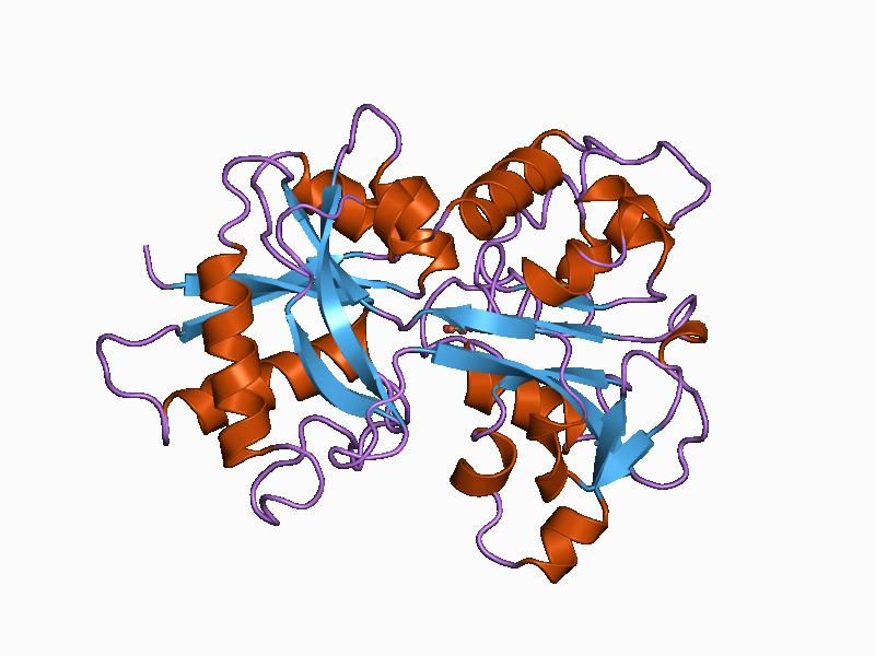 File:PDB 1a8f EBI.jpg