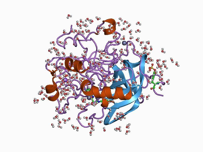 File:PDB 1c1w EBI.jpg