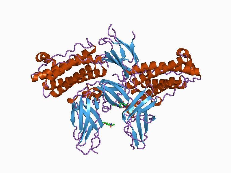 File:PDB 1cd9 EBI.jpg