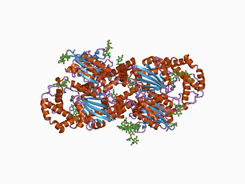 File:PDB 1cvi EBI.jpg