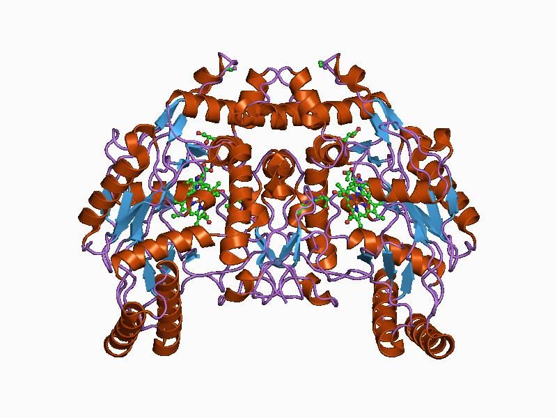 File:PDB 1d1w EBI.jpg