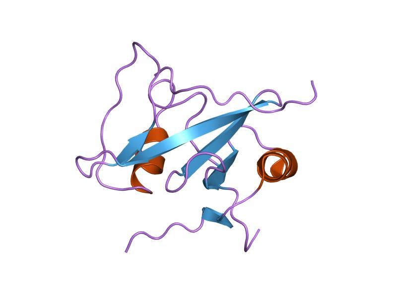 File:PDB 1ka7 EBI.jpg