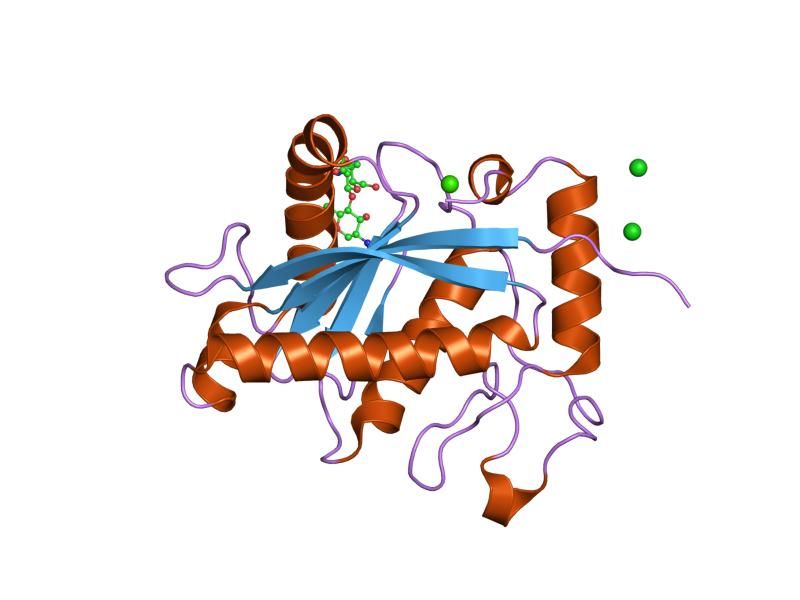 File:PDB 1r54 EBI.jpg