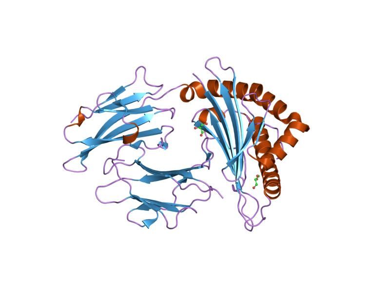 File:PDB 1w0w EBI.jpg