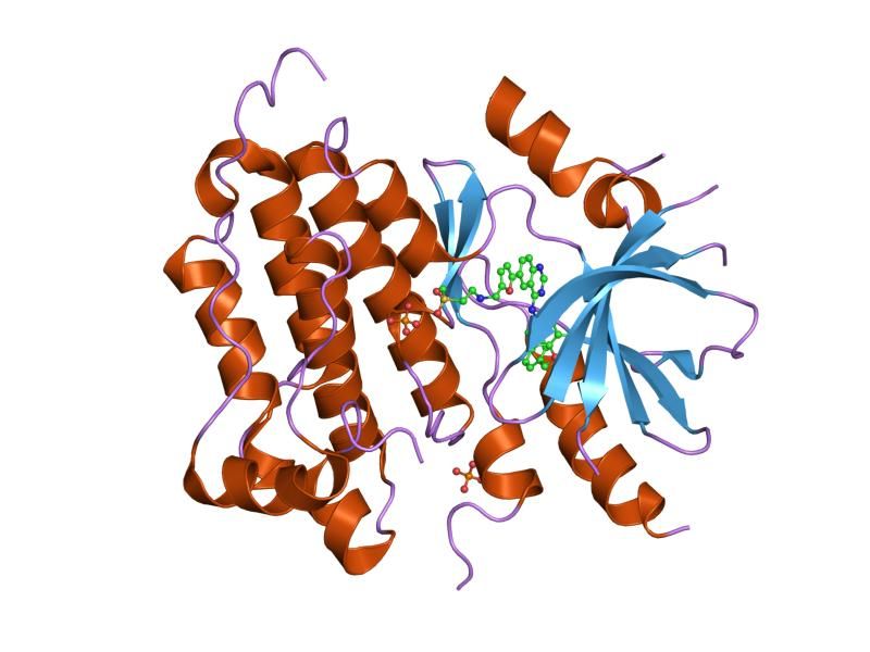 File:PDB 1xkk EBI.jpg