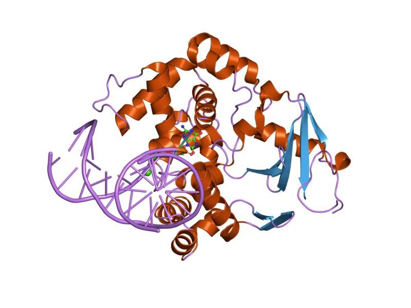 File:PDB 1yqr EBI.jpg