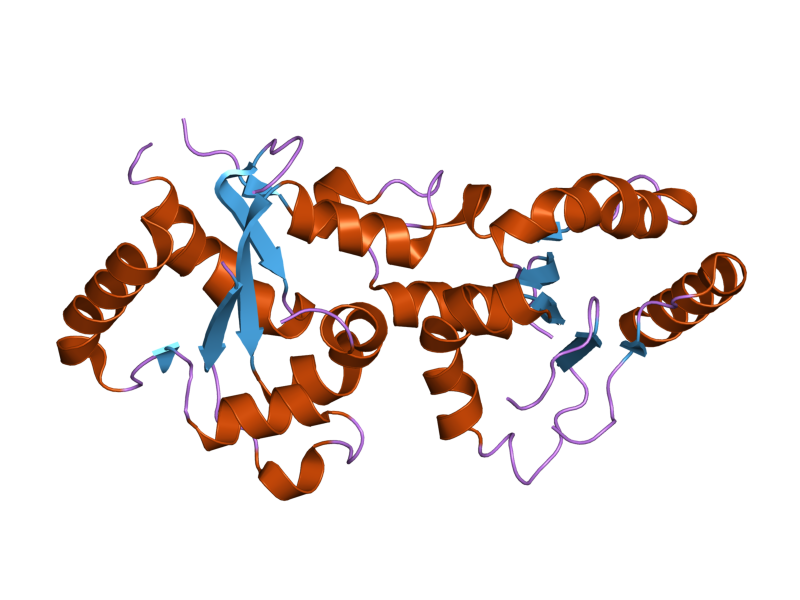 File:PDB 2j67 EBI.png