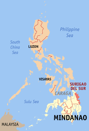 File:Ph locator map surigao del sur.png