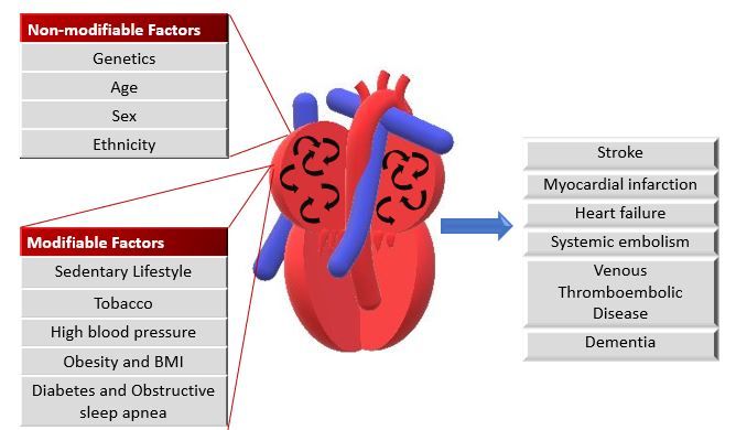 File:RiskFactors.jpg