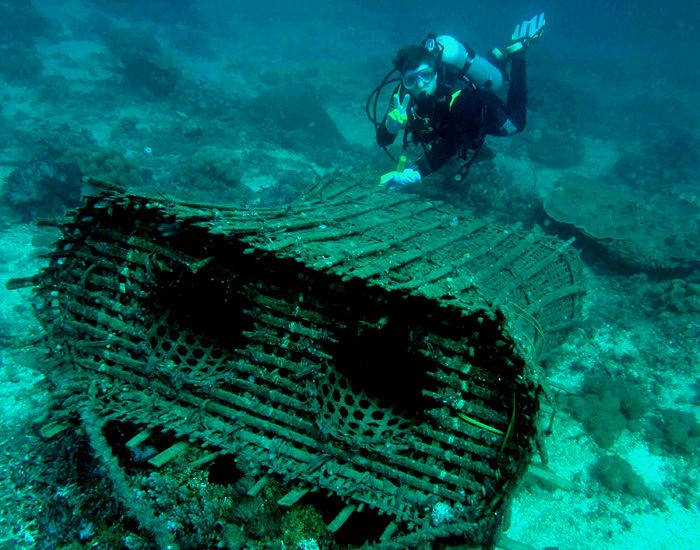 File:Traditional fish trap.jpg